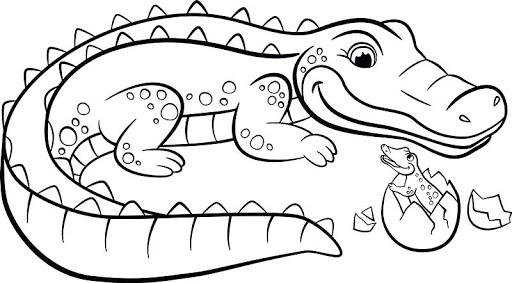 Online coloring book: Coloring book alligator with egg
